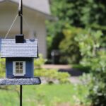 Vogelhaus wird nicht angenommen – Was tun?