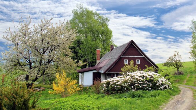 Gartenpumpe mit Abschaltautomatik