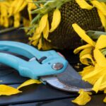 Gartenscheren Test der Stiftung Warentest