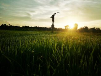 Gartenpumpe ohne Druckschalter