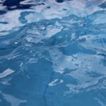 wasserkaefer-im-pool-bild
