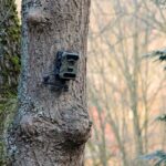wildkamera-mit-sim-karte-solar