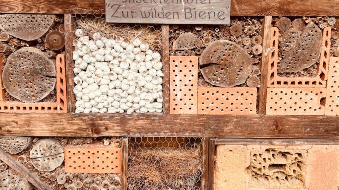 Photo by Clemens van Lay a wall with a bunch of different items on it