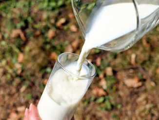 Welche Pflanzen nicht mit Milch düngen?