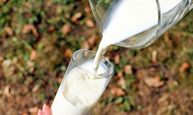 Welche Pflanzen nicht mit Milch düngen?