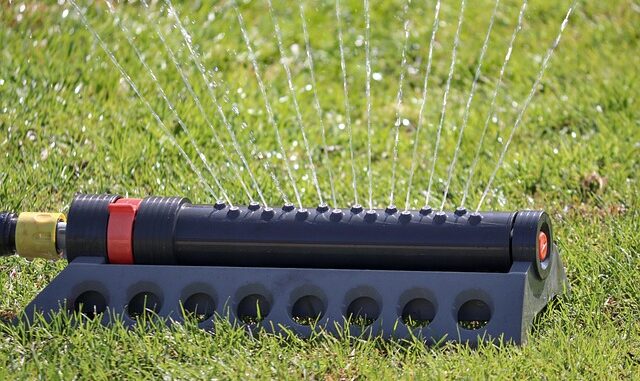 Wasserkosten im Garten